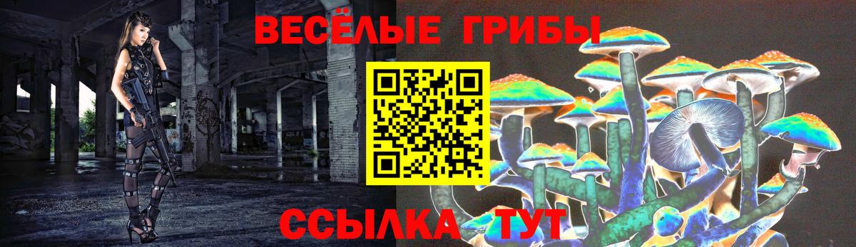 купить наркоту  Вход с VPN  Сальск  Галлюциногенные грибы Magic Shrooms 
