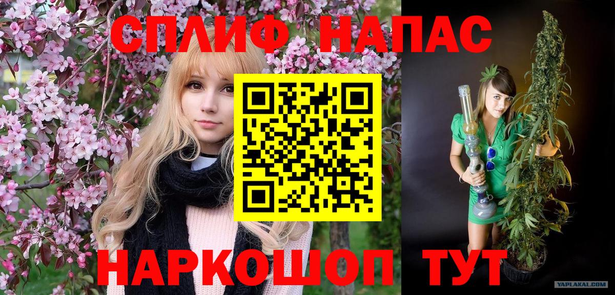 Бошки Шишки семена Сальск